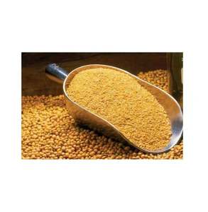 Fish Meal for sale high protein animal <b>feed</b> ingredient ideal for poultry aquaculture and livestock nutrition - Product Image 2