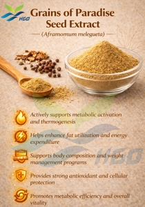 Extracto de Semillas de Grano del Paraíso (Aframomum melegueta) HGO Direct Supply, 12.5% 6-Paradol CAS 27113-22-0 5-Deoxi-6-Gingerol - Product Image 5