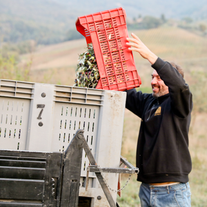 Condiment aromatisé au piment Pruneti Bouteille en verre de 100ml Utilisation de saison à base d'huile d'olive extra vierge de qualité supérieure - Product Image 3