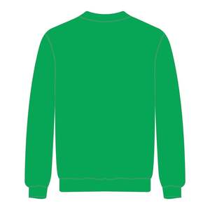 Hbcu สเวตเตอร์คอกลมสีเขียวการศึกษาปักลายด้วยกำมะหยี่เสื้อสเวตเตอร์ออกแบบได้ตามต้องการแนวสมาคมสมาคมสมาคมสตรีชาวกรีก - Product Image 3