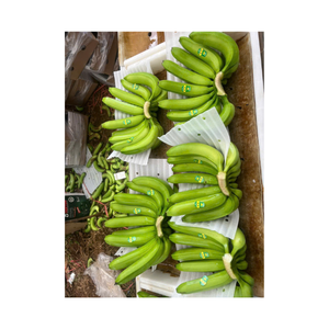 Envío a granel de plátano verde sin madurar fresco entero para cocinar procesamiento maduración embalado para uso de exportación y compradores mayoristas - Product Image 6