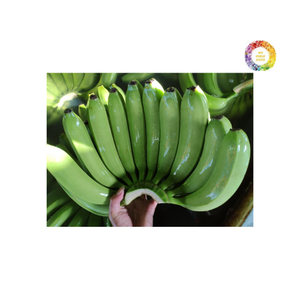 <b>Fresh</b> Cavendish <b>Banana</b> Premium <b>Banana</b> Variety Ideal for Desserts Culinary Use and Export Made in Vietnam - Product Image 6