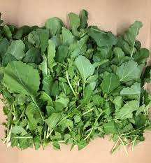 Arugula Power ใบแห้ง/บริสุทธิ์ภูมิคุ้มกันสนับสนุน - Product Image 4