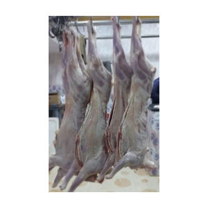 Proveedor de Carne de Cordero Halal Congelada al por Mayor, Exportador de Fábrica, Suministro a Granel, Mercado Internacional, Proveedor de Confianza - Product Image 2