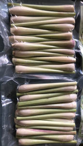 100% Citronnelle naturelle fraîche congelée du Vietnam Culture crue d'OGM Légumes surgelés certifiés halal certifiés IQF - Product Image 2