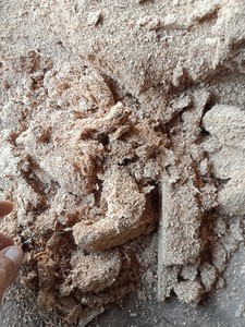HIGH QUALITY WOOD SAWDUST for AGRICULTURE BIOMASS WOOD SAWDUST READY to SHIP MIXED WOOD POWDER SHAVING - Product Image 3