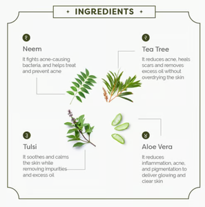 OEM/ODM Etiqueta Privada Neem líquido lavado de cara purificador limpiador Facial limpieza profunda hidratante propiedades nutritivas - Product Image 5