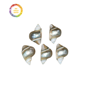 Elegantes servilleteros de concha marina para bodas y eventos con artesanía duradera y precio económico - Product Image 5