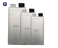 Baterai Lithium-ion Polymer 3.7V 2.5C 48000mAh Isi Ulang Daya Tinggi