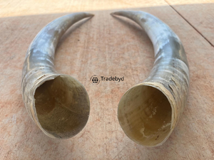 Tradebyd Premium Cuerno Artesanía Hecho a mano Arte decorativo de lujo Ecológico Decoración para el hogar Regalos - Product Image 4