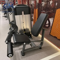 Máquina de Extensión Lumbar Comercial con Pila de Pesas de 100 kg, Equipo de Entrenamiento de Fuerza para la Espalda Baja para Gimnasios Comerciales