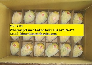 Xuất khẩu xoài xanh tươi với giá rẻ; HP 0084 917 476 477 - Product Image 5