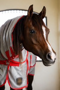 Manta Premium Antimoscas para Caballos con Cuello Completo - Product Image 4