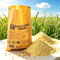 Sacs d'emballage personnalisés en PP tissé, résistants à l'humidité, imprimés en héliogravure, pour blé, maïs, semoule, farine, riz, aliments pour animaux, avec poignée longue