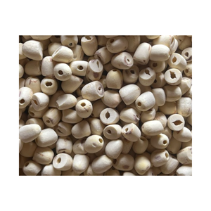 ผู้ผลิตเมล็ดบัวแห้ง คุณภาพสูง ราคาสมเหตุสมผล เมล็ดบัวแห้งคุณภาพดีจากเวียดนาม - Product Image 1