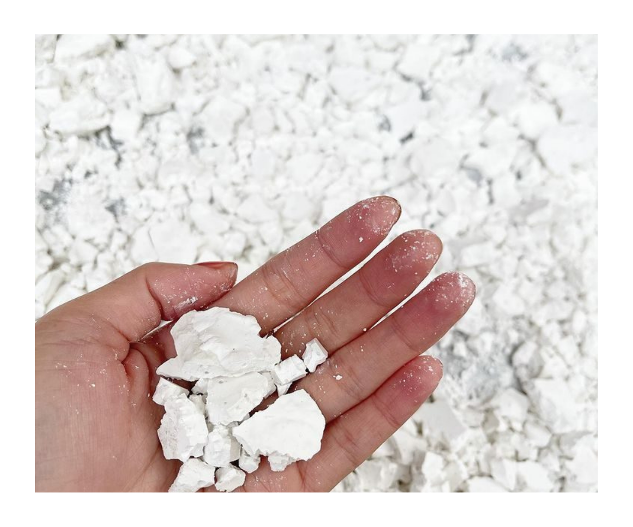 Best Price Pure Oat Extract Powder Arrowroot and Thaumatin Sweetener