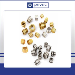 BSP, BSPT ด้ายมาตรฐานทองเหลือง PPR แทรกสำหรับการประยุกต์ใช้อุปกรณ์ท่อ - Product Image 4