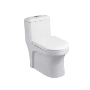 एक टुकड़ा पानी कोठरी सिरेमिक ग्लेज़ेड प्रीमियम वर्ग शौचालय सीट राउंड शौचालय सीट