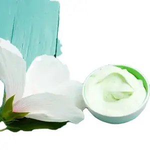 Sweet Mint Floral Flavor Hand Cream Moisturize Not Greasy Autumn and Winter Anti-cracking Hand Cream