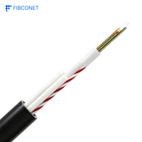 Kabel Serat Optik Mini ASU 12 Core 24 Core Singlemode G.652D Aerial Self-supporting Outdoor FTTH
