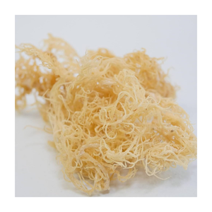 Algues marines séchées au soleil sauvages du Vietnam, algues marines séchées de qualité supérieure, Eucheuma Cottonii doré, algues marines séchées de qualité d'exportation pour la vente en gros - Product Image 5