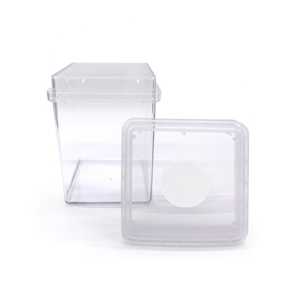 Récipient de culture carré durable pour la culture de tissus végétaux, conteneur optimisé pour le flux d'air pour la recherche en propagation in vitro - Product Image 6