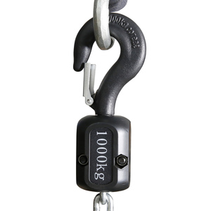 Coreat v10 v10 v10 + 1000kgs 1 טון בלם כפול אחד בלם חשמלי להניף winch מנוע שלב - Product Image 6