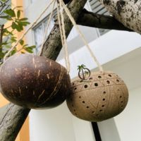 COCO-ECO Décorations Naturelles de Jardin en Gros Kits de Propagation de Noix de Coco Faits Main Écologiques Pots Vintage Jardinières Pots de Fleurs
