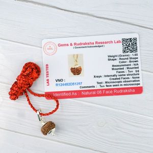 Pendentif Rudraksha certifié 10 Mukhi pour la protection, la confiance, la stabilité et la force spirituelle - Product Image 3