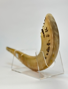 Le plus haut savoir-faire casher Shofar meilleure qualité corne de bélier naturelle mouton poli écologique à des fins religieuses soufflant - Product Image 3
