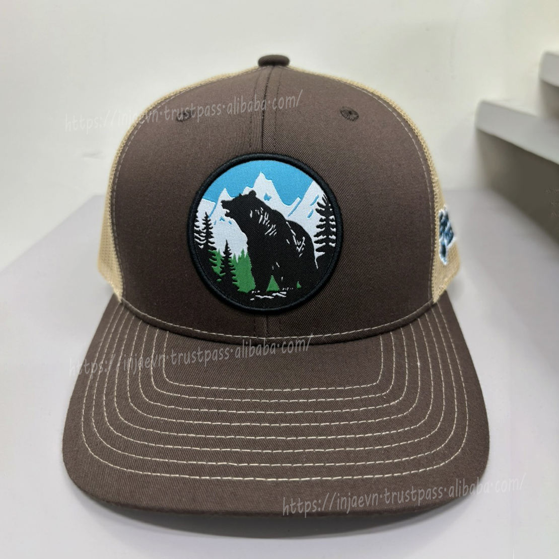 สีน้ำตาล