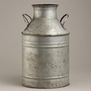 Bidons à lait galvanisés de ferme vintage, poignées solides, maison rustique, cuisine, jardin extérieur, décoration, bidon d'eau - Product Image 6