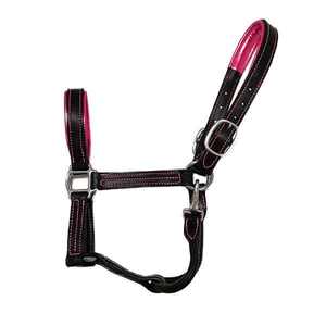 Halter de cuero de caballo con banda de nariz elevada con herrajes de latón acolchado rosa con broche rápido para un alivio rápido - Product Image 4