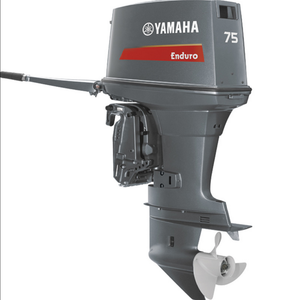 Meilleure offre pour charnière de bateau 75HP Stroke Outdoor AE - Product Image 1