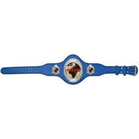 Champions du monde professionnels Offre Spéciale en cuir lourd respirant championnat confortable ceinture de lutte personnalisée