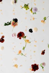 Installation de fleurs suspendues personnalisées; décoration intérieure, mariages, photographie (plusieurs tailles disponibles - Product Image 6