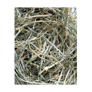 Heno de pasto Rhodes empacado en fábrica, pacas de heno de alta calidad listas para distribuidores y mercados mayoristas - Product Image 1