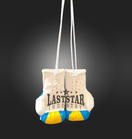 Venta al por mayor OEM personalizado Mini guantes de boxeo con diseño de Bandera de País PU cuero coche colgante llavero compras Bosnia Grecia Chile