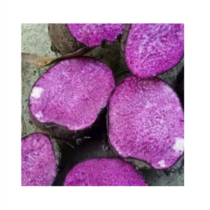 Ăn uống lành mạnh ngon miệng và tiện lợi với Yam đông lạnh chất lượng hàng đầu của chúng tôi/thành phần hoàn hảo cho bất kỳ Bữa Ăn Nào - Product Image 5