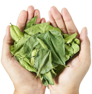 Hojas de Limón Kaffir Secas al por Mayor de Vietnam - Product Image 1