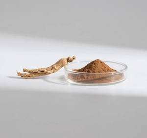 Thiên nhiên tinh khiết <span class=keywords><strong>Ashwagandha</strong></span> chiết xuất từ rễ 10:1 - Product Image 4