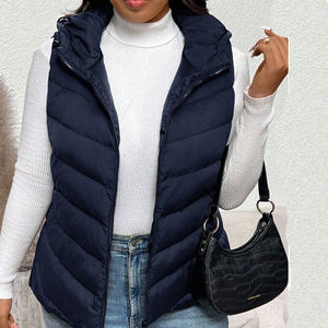 Chaleco Acolchado Clásico de Invierno 2025, Resistente al Viento, con Logotipo Personalizado, Diseño de Diseñador, Sin Mangas, Estilo Casual para Hombre y Mujer - Product Image 3