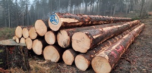 ใบเลื่อยจำนวนมากสำหรับโรงเลื่อยและผู้ผลิตท่อนไม้ดิบไม้สนโอ๊คบีชและอื่นๆ - Product Image 4