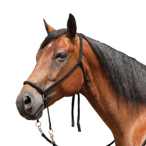 บังเหียนบังเหียนไนลอนแบบไร้ตะเข็บสามารถปรับได้ควบคุมม้าม้าได้อย่างนุ่มนวลใช้เบาะที่มีน้ำหนักเบา - Product Image 4