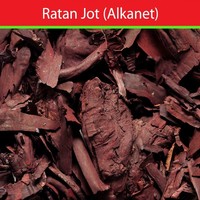 Poudre de Ratanjot de Haute Qualité, Extrait Herbal de Jadd Alkanet, Culture Sauvage, 90% Qualité Alimentaire, Toutes Saisons, Emballage Sous Vide en Bouteille