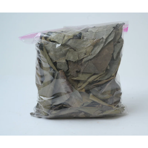 Feuilles de corossol séchées Biologiques Naturelles Annona Muricata GUANABANA GRAVIOLA - Product Image 4