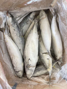Suministro a granel 100% caballa congelada natural baja en carbohidratos baja en grasa sin piel entera sin hueso paquete al vacío 25kg para restaurantes hogares - Product Image 2