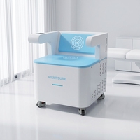 Chaise de traitement professionnelle des muscles du plancher pelvien pour la thérapie de réparation post-partum