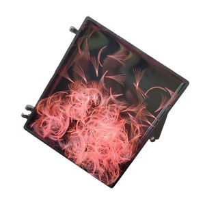Hot New Korean PBT Fiber Eyelash Extensions 1000 Box 7D Loose 0.03mm-0.20mm Mixte Longueur À La Main Du Vietnam - Product Image 2