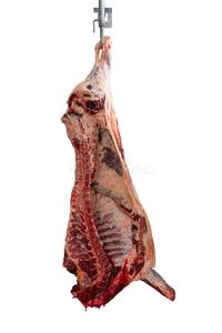 Carcasses de bœuf halal abordables pour exportation vers la Chine - Product Image 3